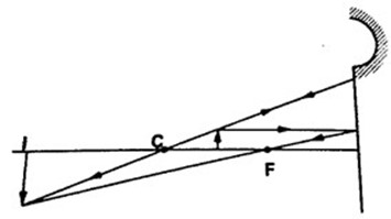 Image From EcoleBooks.com