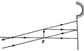 Image From EcoleBooks.com
