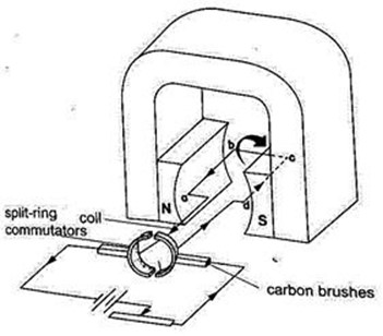 Image From EcoleBooks.com