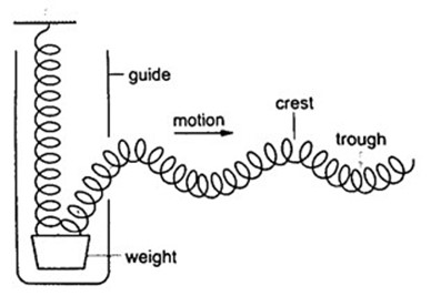 Image From EcoleBooks.com