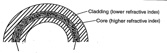 Image From EcoleBooks.com