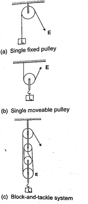Image From EcoleBooks.com