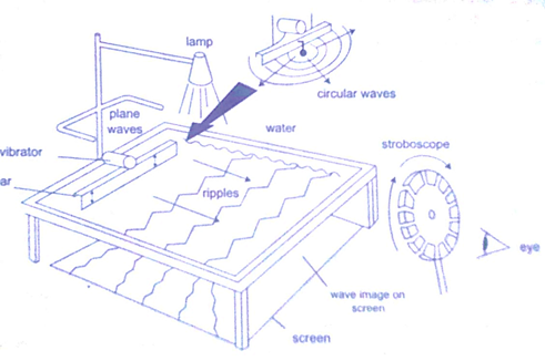 Image From EcoleBooks.com