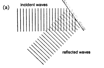 Image From EcoleBooks.com