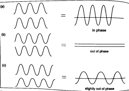 Image From EcoleBooks.com