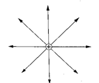Image From EcoleBooks.com