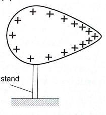 Image From EcoleBooks.com