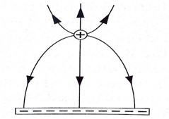 Image From EcoleBooks.com