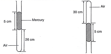 Image From EcoleBooks.com
