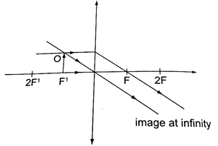 Image From EcoleBooks.com