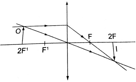Image From EcoleBooks.com