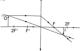 Image From EcoleBooks.com