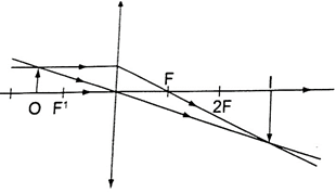 Image From EcoleBooks.com