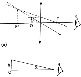 Image From EcoleBooks.com