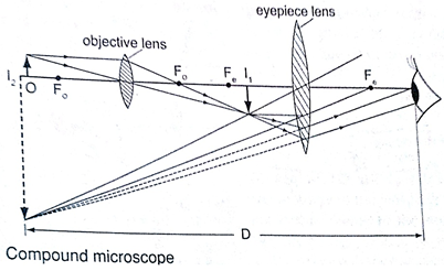 Image From EcoleBooks.com