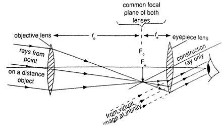 Image From EcoleBooks.com