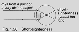 Image From EcoleBooks.com