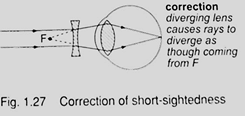 Image From EcoleBooks.com