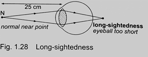 Image From EcoleBooks.com