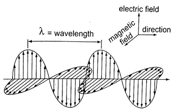 Image From EcoleBooks.com