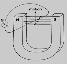 Image From EcoleBooks.com