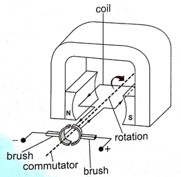 Image From EcoleBooks.com