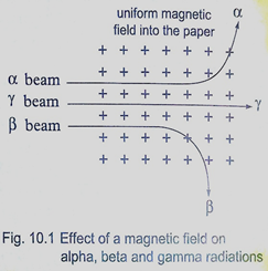 Image From EcoleBooks.com