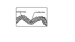 Image From EcoleBooks.com