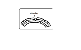 Image From EcoleBooks.com