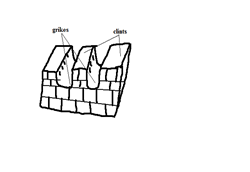Image From EcoleBooks.com