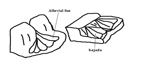 Image From EcoleBooks.com