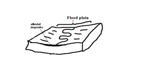Image From EcoleBooks.com