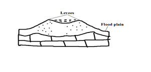 Image From EcoleBooks.com