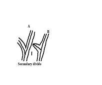 Image From EcoleBooks.com