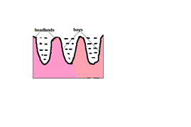 Image From EcoleBooks.com