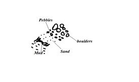 Image From EcoleBooks.com