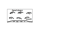 Image From EcoleBooks.com