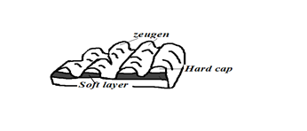 Image From EcoleBooks.com