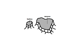 Image From EcoleBooks.com