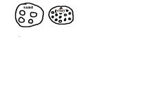 Image From EcoleBooks.com