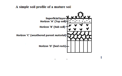 Image From EcoleBooks.com
