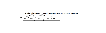 Image From EcoleBooks.com