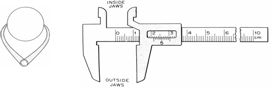 Image From EcoleBooks.com