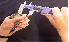 Image From EcoleBooks.com