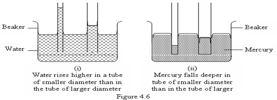 Image From EcoleBooks.com