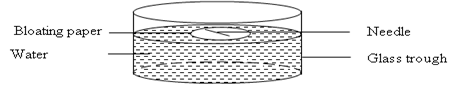 Image From EcoleBooks.com