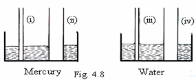 Image From EcoleBooks.com