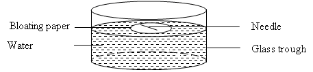 Image From EcoleBooks.com