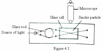 Image From EcoleBooks.com