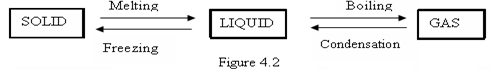 Image From EcoleBooks.com